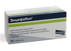 Энцефабол табл. п/о 100 мг 50 шт.